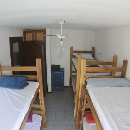 Gokai Hostel Florianópolis Eksteriør bilde