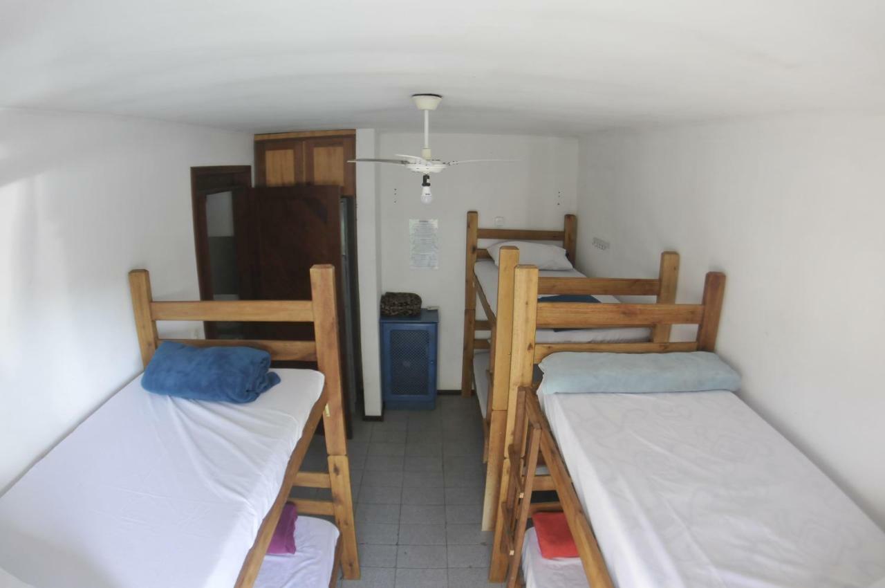 Gokai Hostel Florianópolis Eksteriør bilde